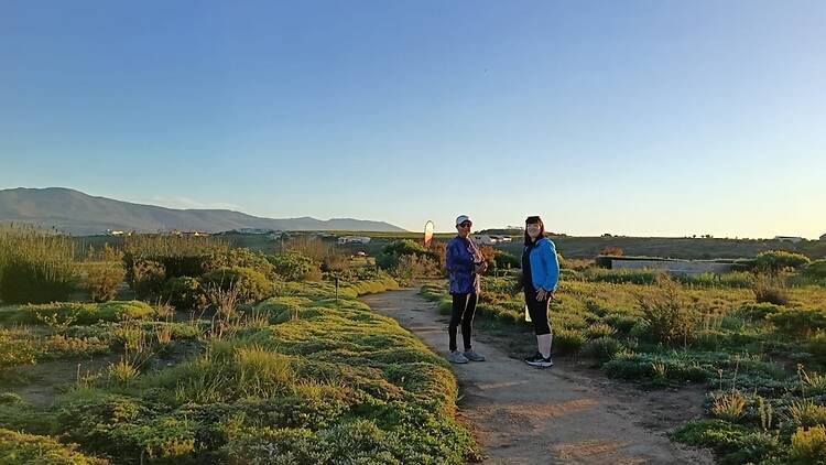 Benguela Cove parkrun, Hermanus