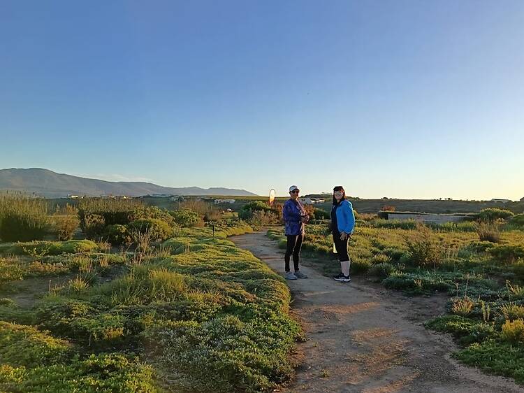 Benguela Cove parkrun, Hermanus