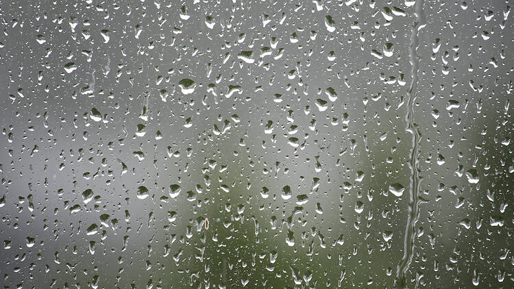 Raindrops on a window create a beautiful, abstract scene with a blurred background. 2221056249