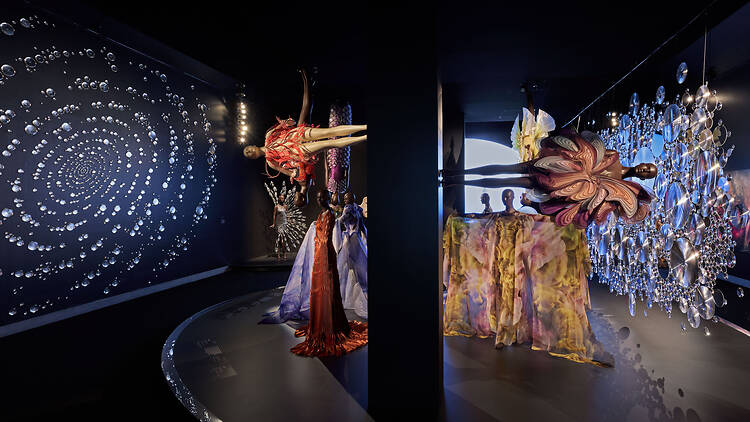 Iris van Herpen: Iris van Herpen: