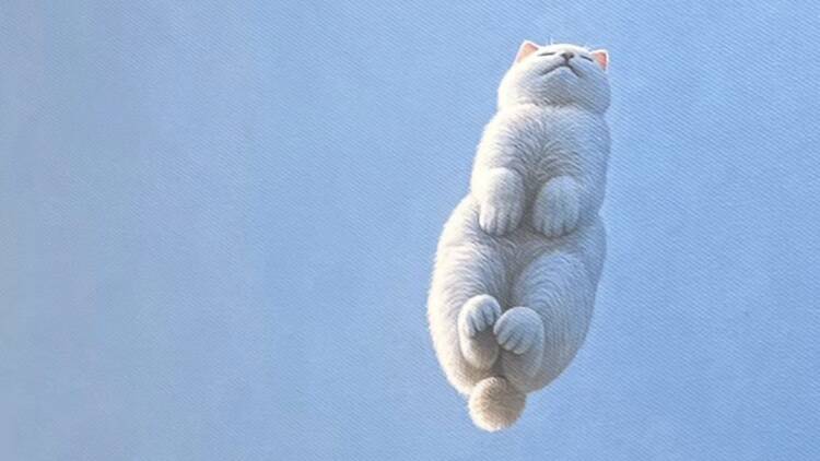 Millions of CATS and ONE CAT แมวล้านตัวกับแมวหนึ่งตัว