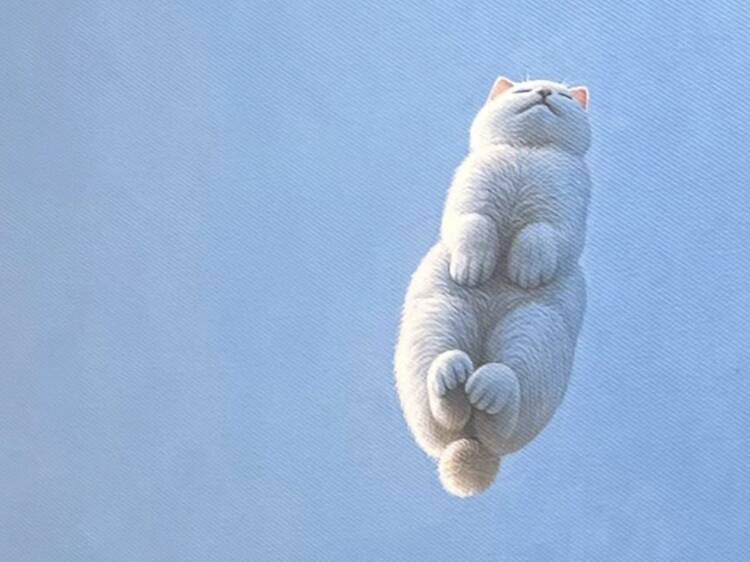 Millions of CATS and ONE CAT แมวล้านตัวกับแมวหนึ่งตัว