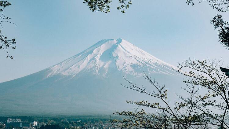 Mount Fuji