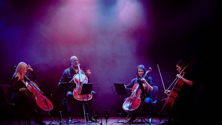 four cellists of MSO+ cello quartet