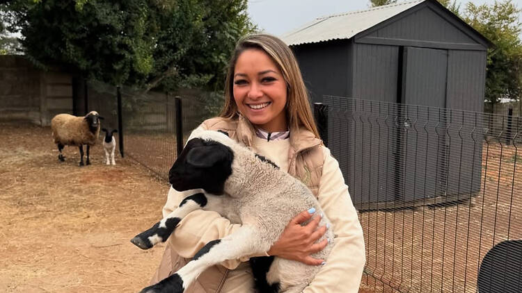 Adi Abrahams, founder of Pasture & Plate