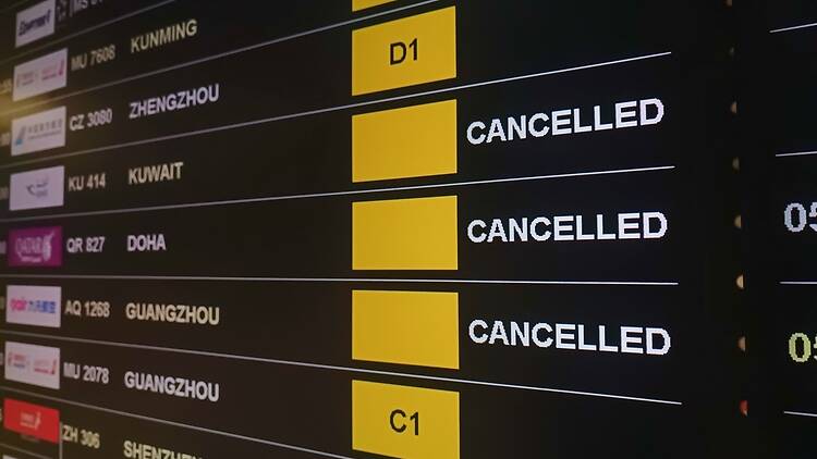 An airport departure board showing cancelled flights An airport departure board showing cancelled flights