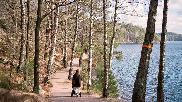 Stroll through the beautiful natural area of Delsjön Stroll through the beautiful natural area of Delsjön