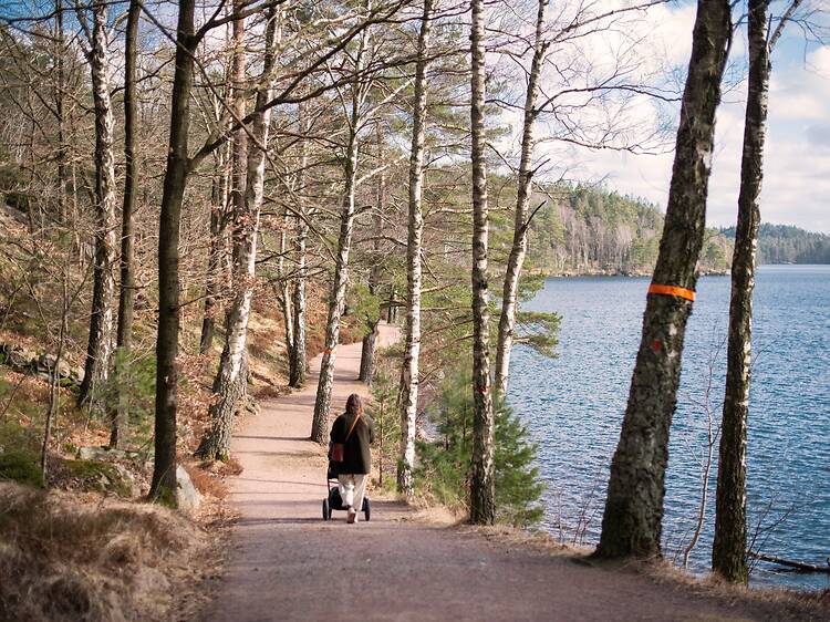 Stroll through the beautiful natural area of Delsjön Stroll through the beautiful natural area of Delsjön