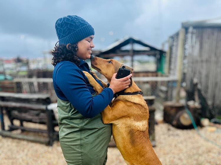 Cape Storm Relief: Here's how you can help