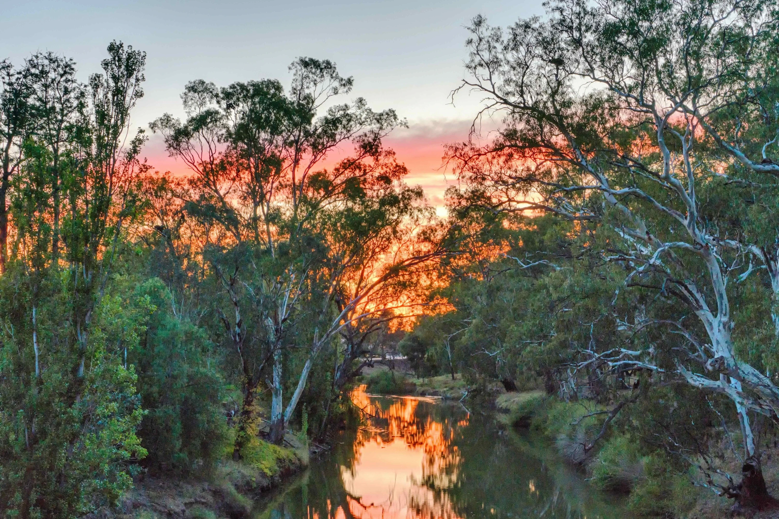 Sun rising over the Lachlan River in Condobolin.