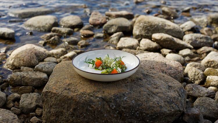 Evening: a five-course dinner at Restaurant Plats