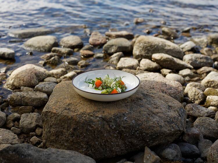 Evening: a five-course dinner at Restaurant Plats