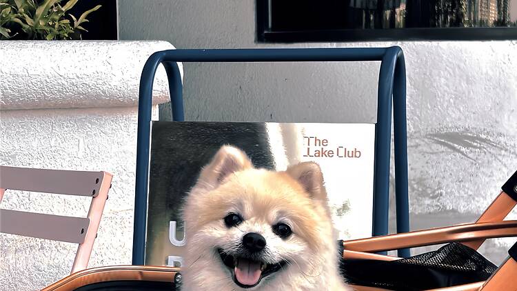 The Lake Club