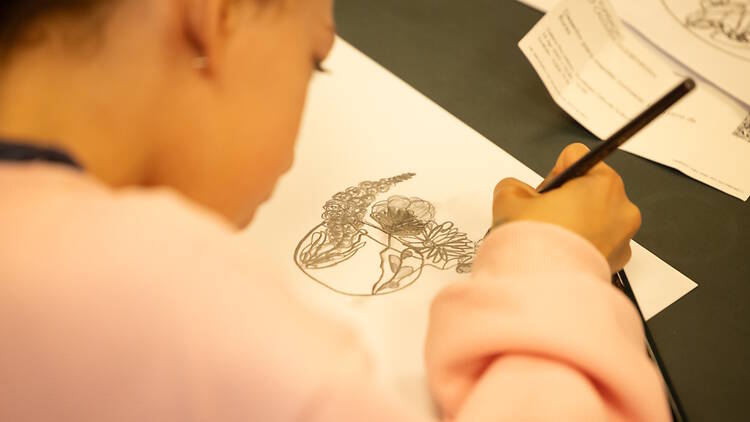 Desenho para mentes curiosas