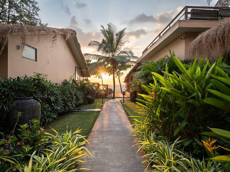 Palma Beach Resort | Ashvem, North Goa Palma Beach Resort | Ashvem, North Goa