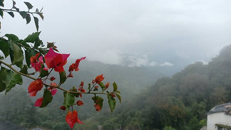 Khirsu, Uttarakhand