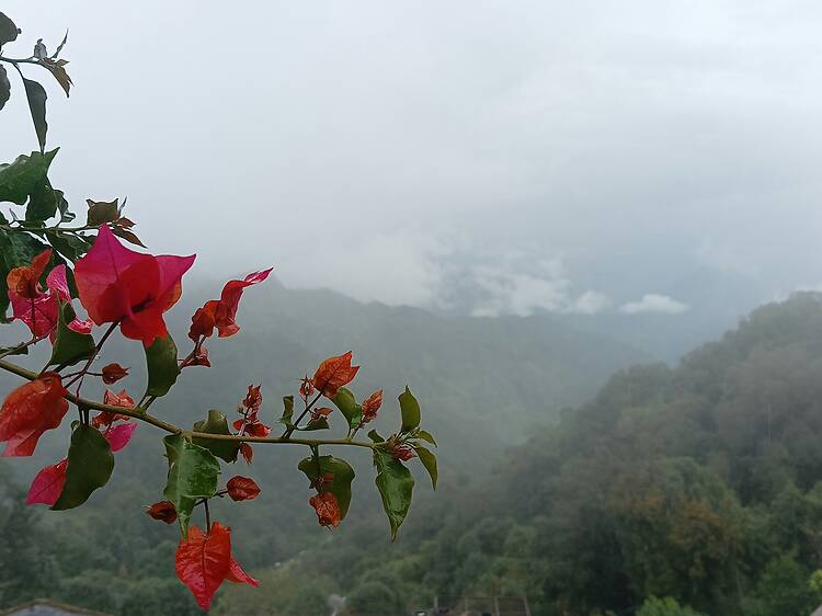 Khirsu, Uttarakhand