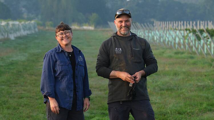Yarra Yering Wine producers in vineyard