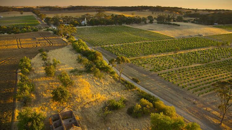 Henschke, Barossa Valley Henschke, Barossa Valley