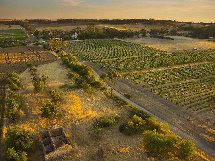 Henschke, Barossa Valley Henschke, Barossa Valley