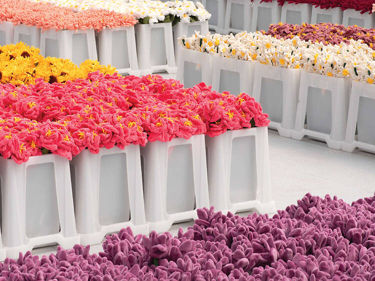 The best things to do in Sydney this weekend The best things to do in Sydney this weekend
