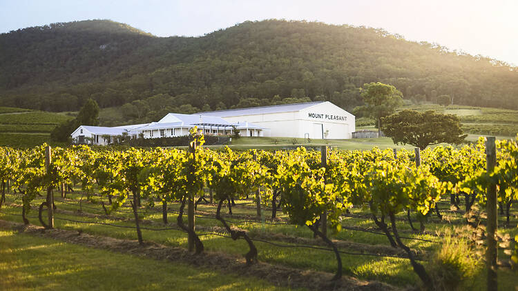 Mount Pleasant Wines, Hunter Valley Mount Pleasant Wines, Hunter Valley