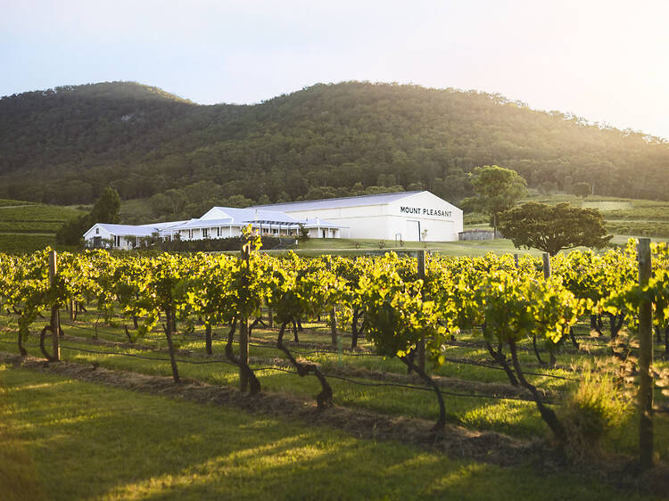 Mount Pleasant Wines, Hunter Valley Mount Pleasant Wines, Hunter Valley