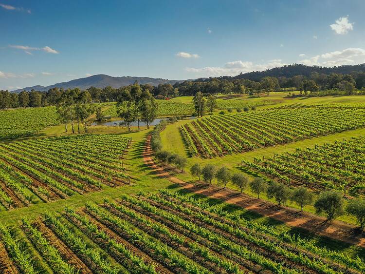 The 32 best wineries to visit in Australia