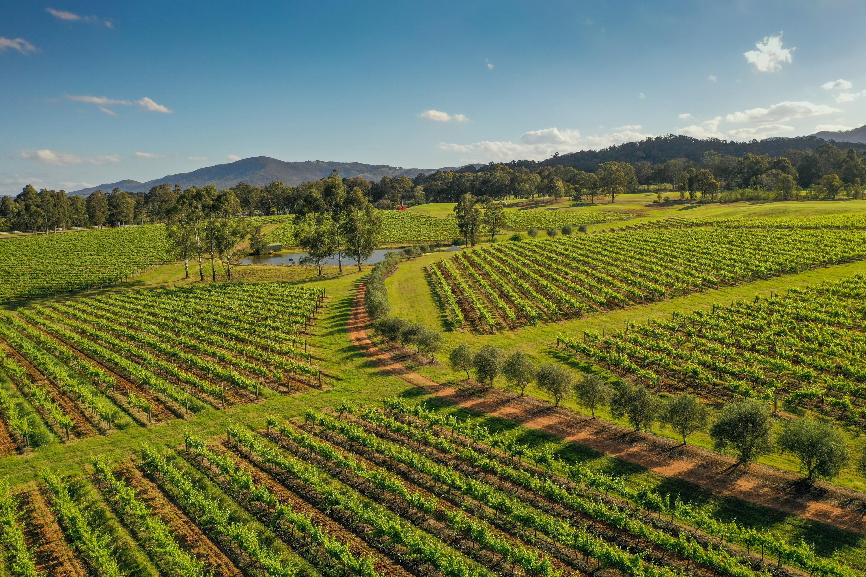 The 32 best wineries in Australia for 2026
