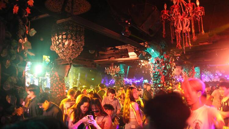Differ.,inc Chiang MAI