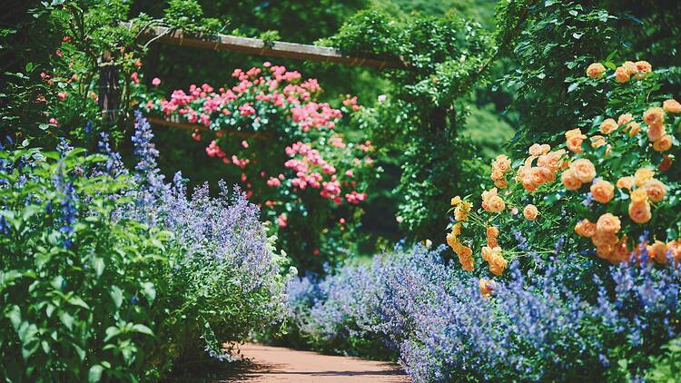 Garden Fest 2026