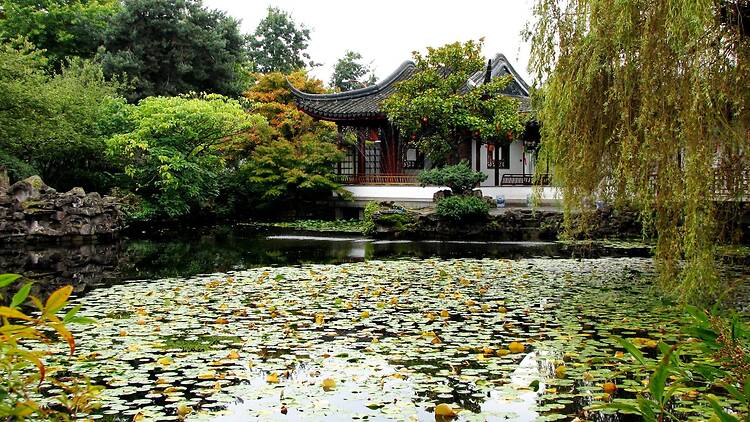 Dr. Sun Yat-Sen Chinese Garden
