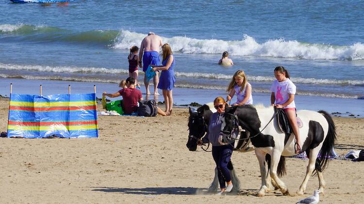 Donkeys on the beach at Porthcawl, Wales