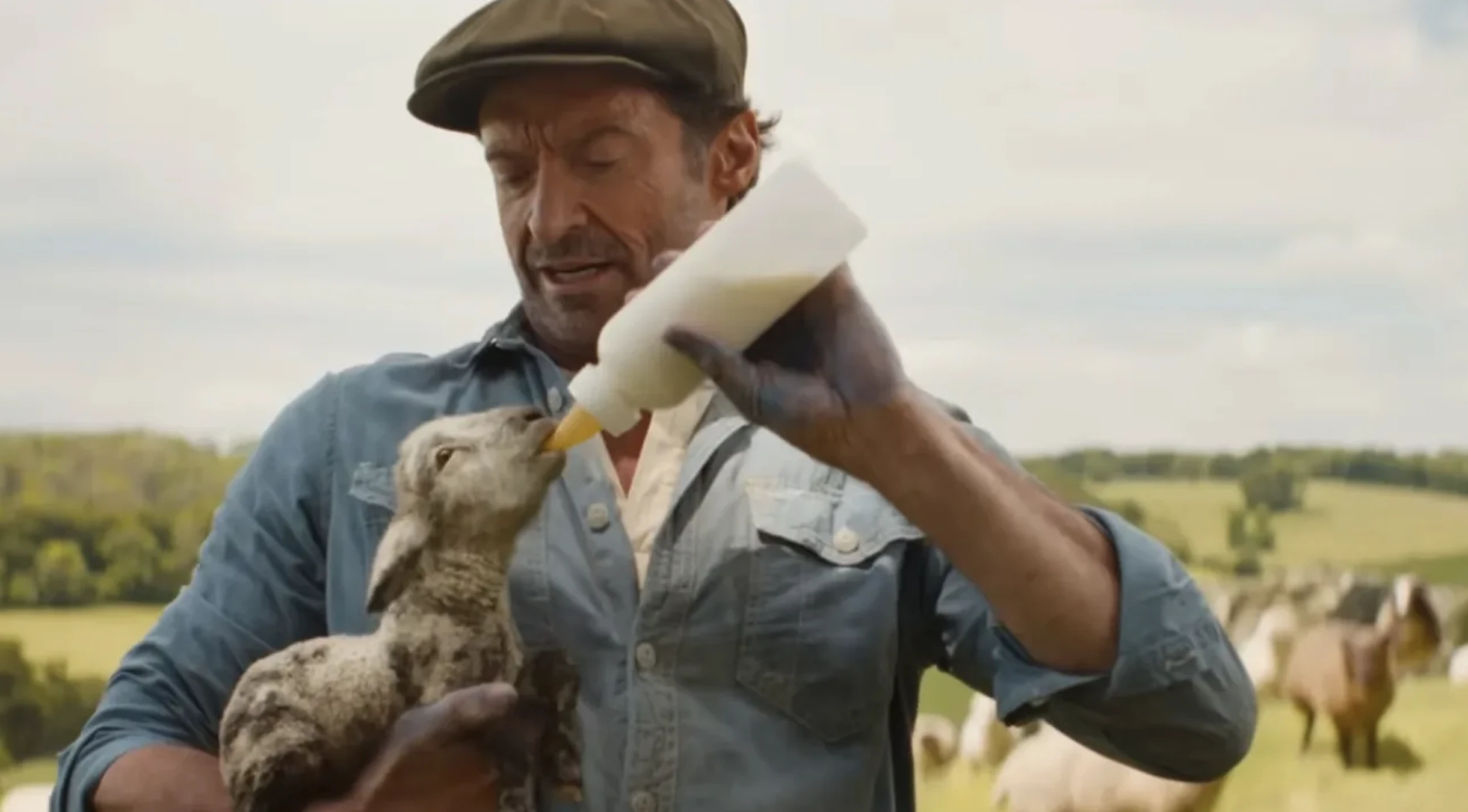  The Sheep Detectives