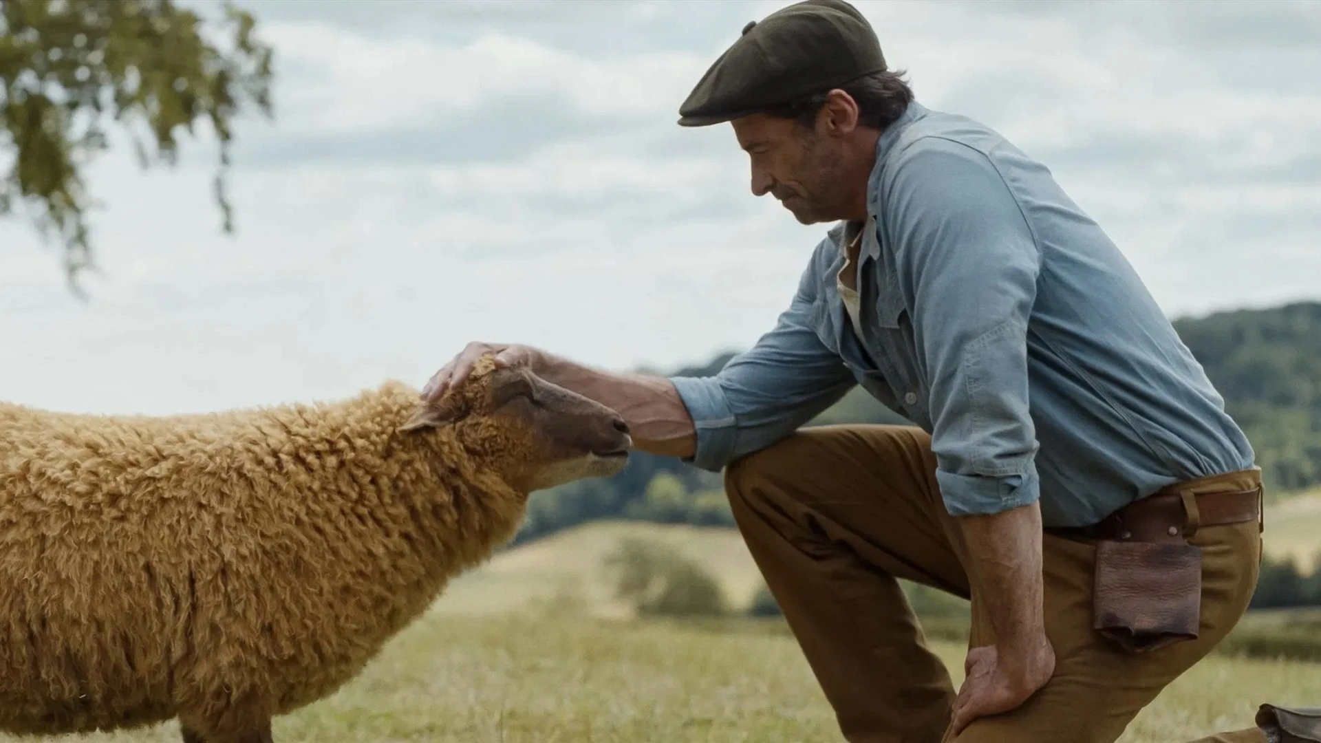  The Sheep Detectives