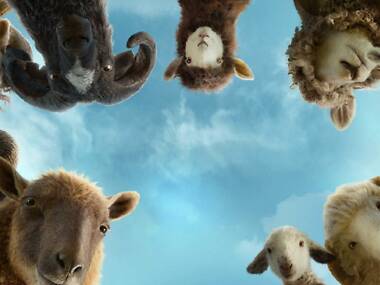 The Sheep Detectives เมื่อแกะช่างจ้อขอสวมรอยนักสืบ ในคดีฆาตกรรมสุดหรรษา