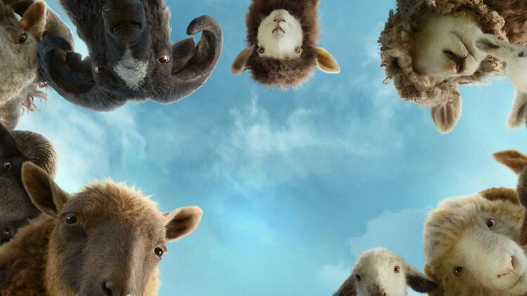  The Sheep Detectives