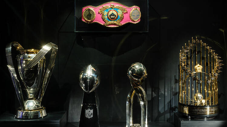 For the Win: Objects of Sports Excellence
