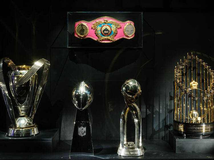 The American Museum of Natural History is hosting an exciting lineup of World Cup-specific programming
