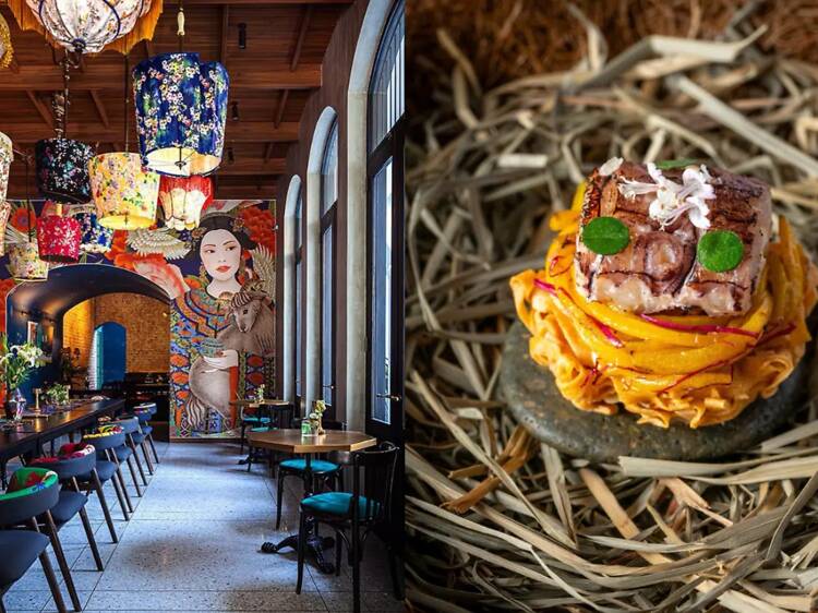 โกท