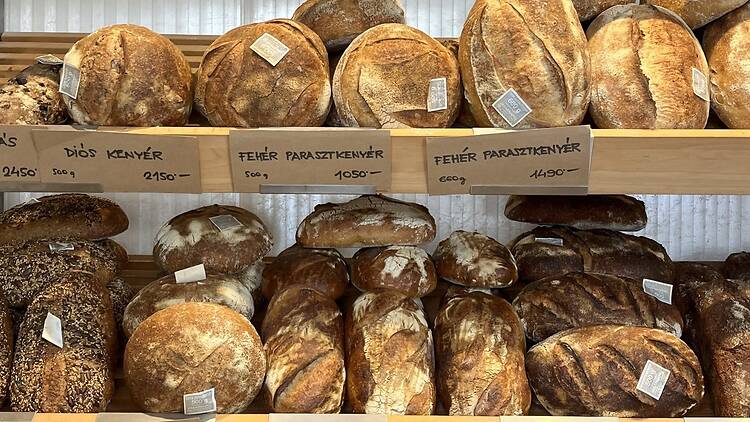 Marmorstein Pékség Marmorstein Pékség