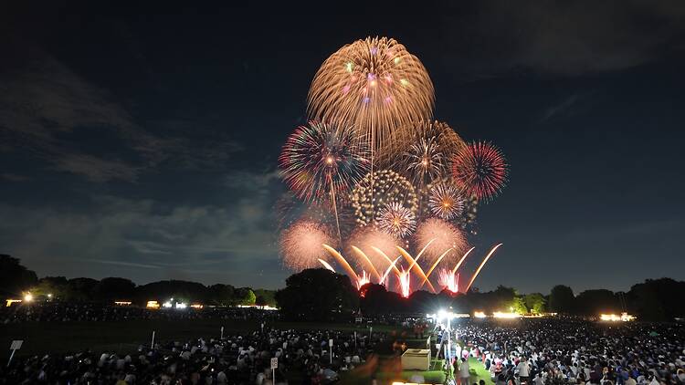 Tachikawa Showa Kinen Park Fireworks