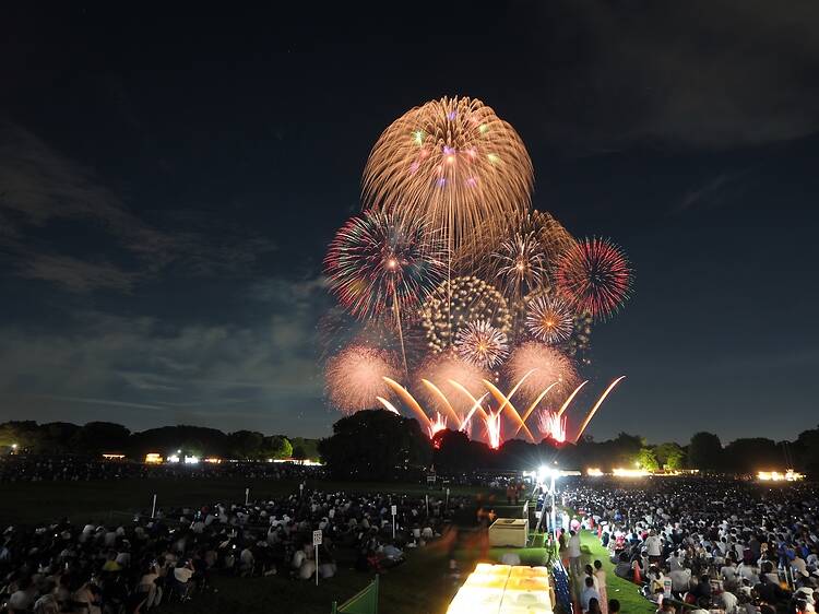 Tachikawa Showa Kinen Park Fireworks