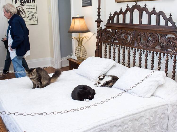 Hemingway Home & Museum บ้านและพิพิธภัณฑ์เฮมิงเวย์ Hemingway Home & Museum บ้านและพิพิธภัณฑ์เฮมิงเวย์