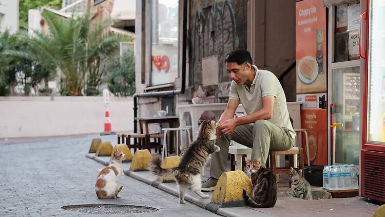 Istanbul อิสตันบูล ประเทศตุรกี Istanbul อิสตันบูล ประเทศตุรกี