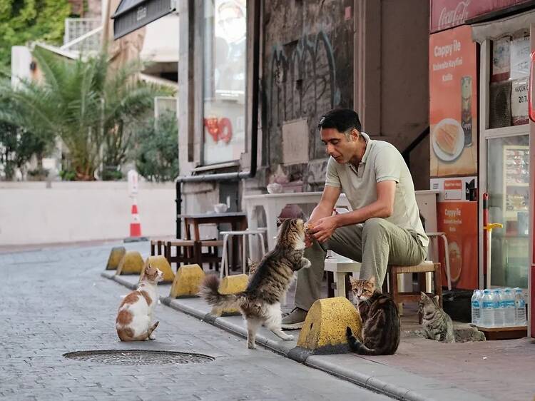 Istanbul อิสตันบูล ประเทศตุรกี Istanbul อิสตันบูล ประเทศตุรกี