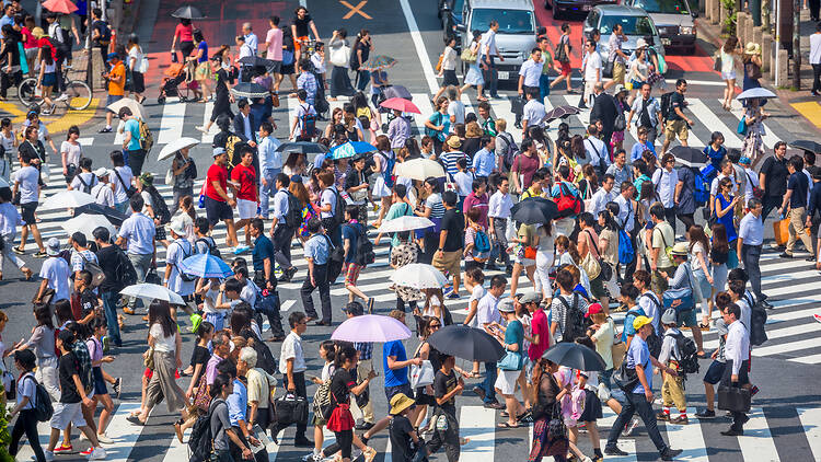 Tokyo summer, Shibuya Crossing Tokyo summer, Shibuya Crossing