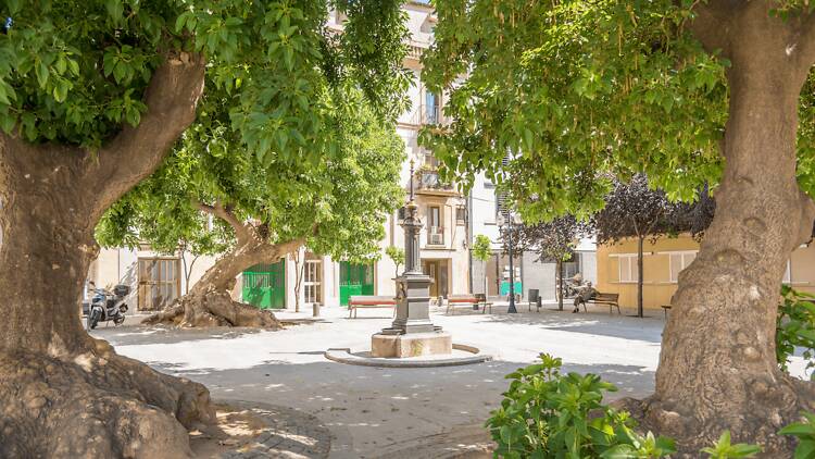 Plaça Prim Plaça Prim