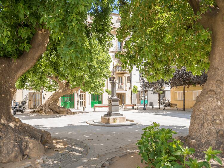 Plaça Prim Plaça Prim