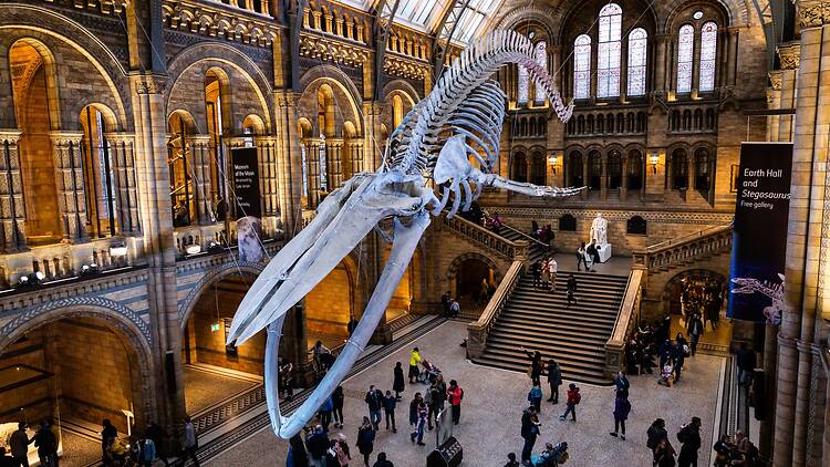 Natural History Museum, London, UK Natural History Museum, London, UK